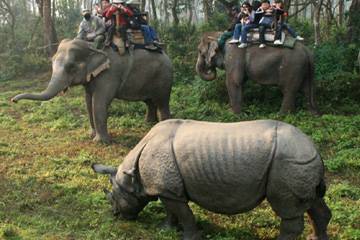 Parco Chitwan - Gran tour India e Nepal
